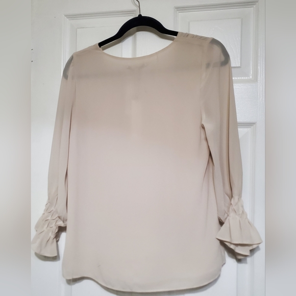 Naked Zebra Blouse Lined Sheer - Picture 2 of 4